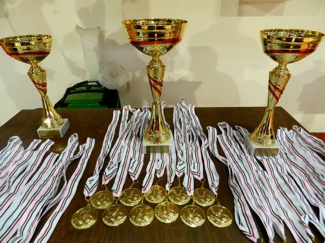 Centrum Futsal Területi Döntő